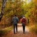 Menschen gehen im Wald spazieren.