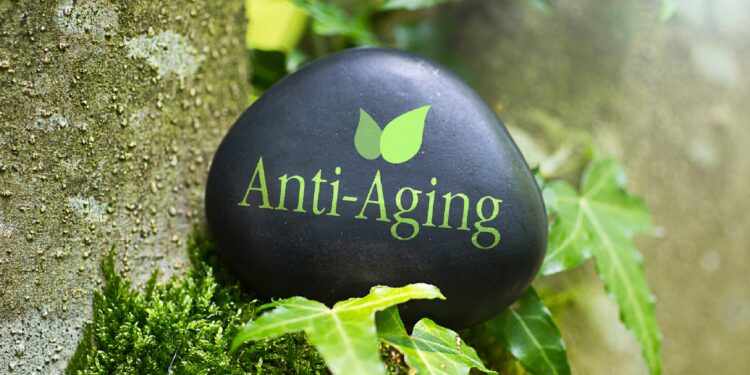 Schwarzer Stein mit der Aufschrift Anti-Aging liegt in der Natur
