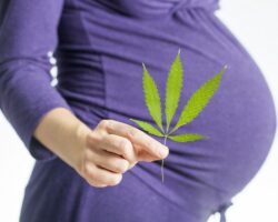 Eine schwangere Frau hält das Blatt einer Cannabispflanze vor ihren Bauch.