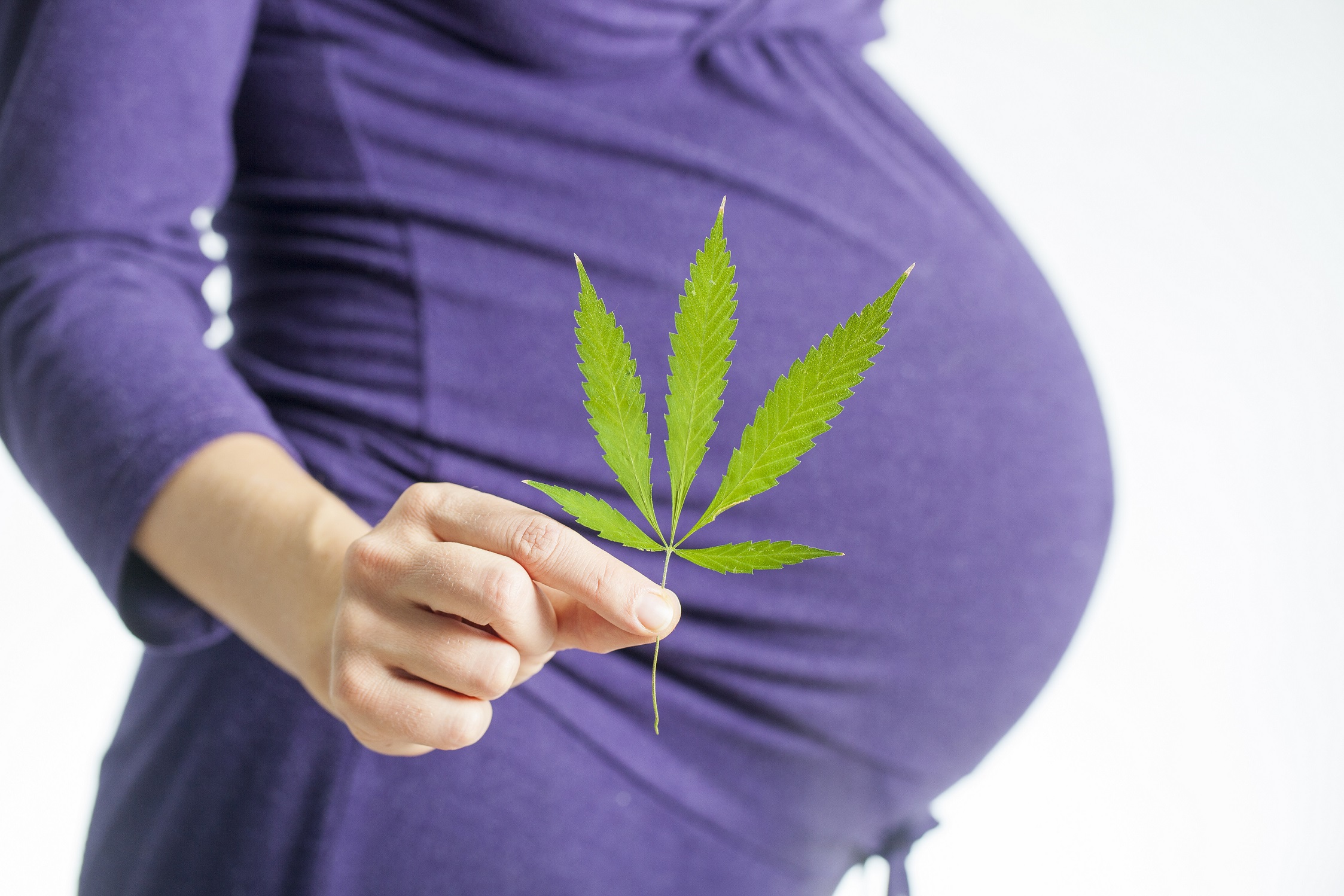 CannabisKonsum beeinflusst Fruchtbarkeit Heilpraxis