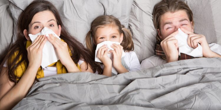 Dois adultos e uma criança estão deitados na cama, assoando o nariz com um lenço de papel.
