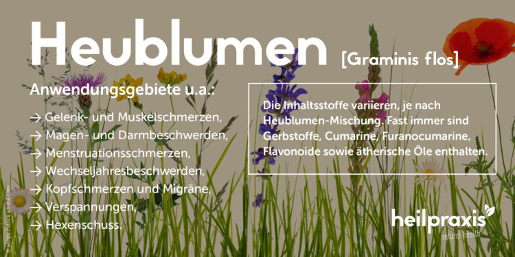 Übersicht der Anwendungsgebiete von Heublumen