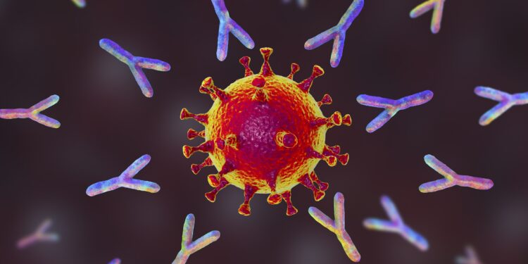 Darstellung Coronavirus und Antikörper