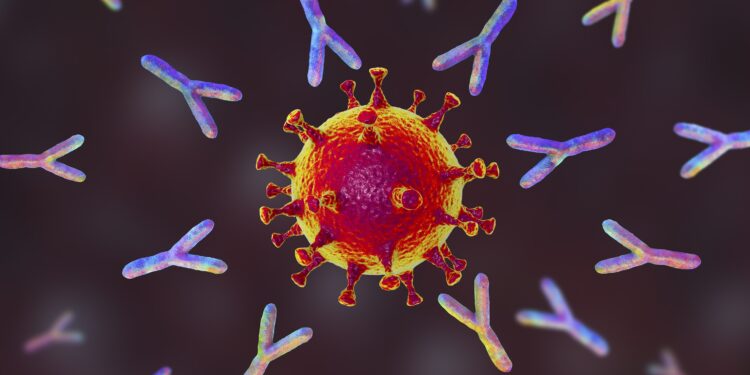 Beeldvorming van het coronavirus en antilichamen