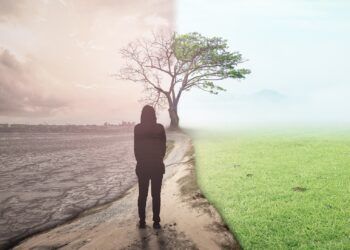 Frau auf einem Weg mit links zerstörter Natur und rechts grüner Landschaft.