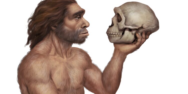 Illustration eines Neandertalers, der den Schädel eines Neandertalers betrachtet