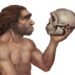 Illustration eines Neandertalers, der den Schädel eines Neandertalers betrachtet