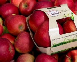 Neu Äpfel mit dem Markennamen Selstar