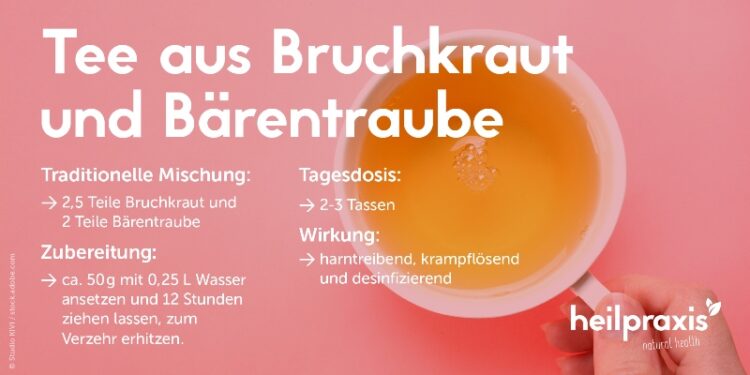 Tee aus Buchkraut und Bärentraube Rezept, Zubereitung und Wirkung