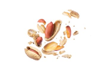 Erdnüsse können schon in kleinsten Mengen zu allergischen Reaktionen führen. (Bild: Krafla/stock.adobe.com)