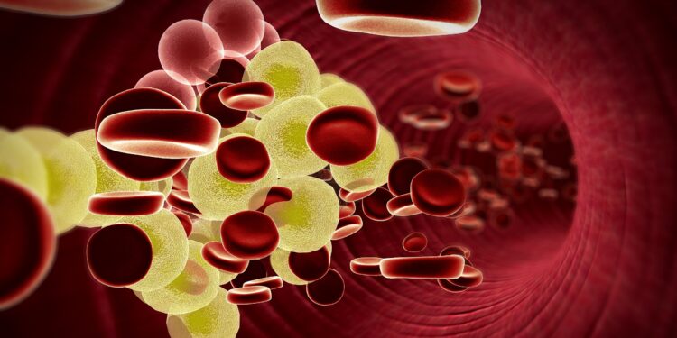 Grafische Darstellung von Fetten und Blutkörperchen, die sich durch ein Blutgefäß bewegen.