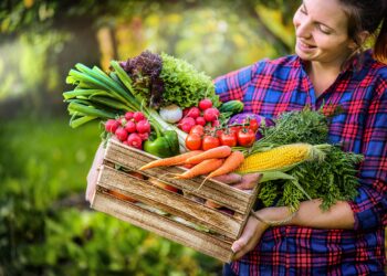 Frau trägt Korb mit Obst und Gemüse.