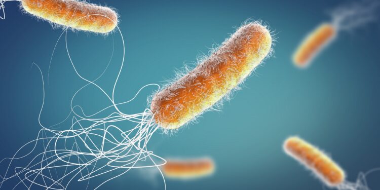 3D-Illustration von Pseudomonas aeruginosa-Bakterien