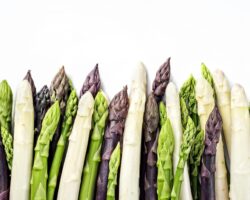 Verschiedene Spargel-Sorten vor weißem Hintergrund.
