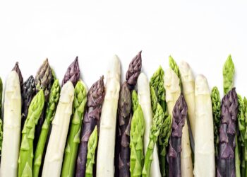 Verschiedene Spargel-Sorten vor weißem Hintergrund.