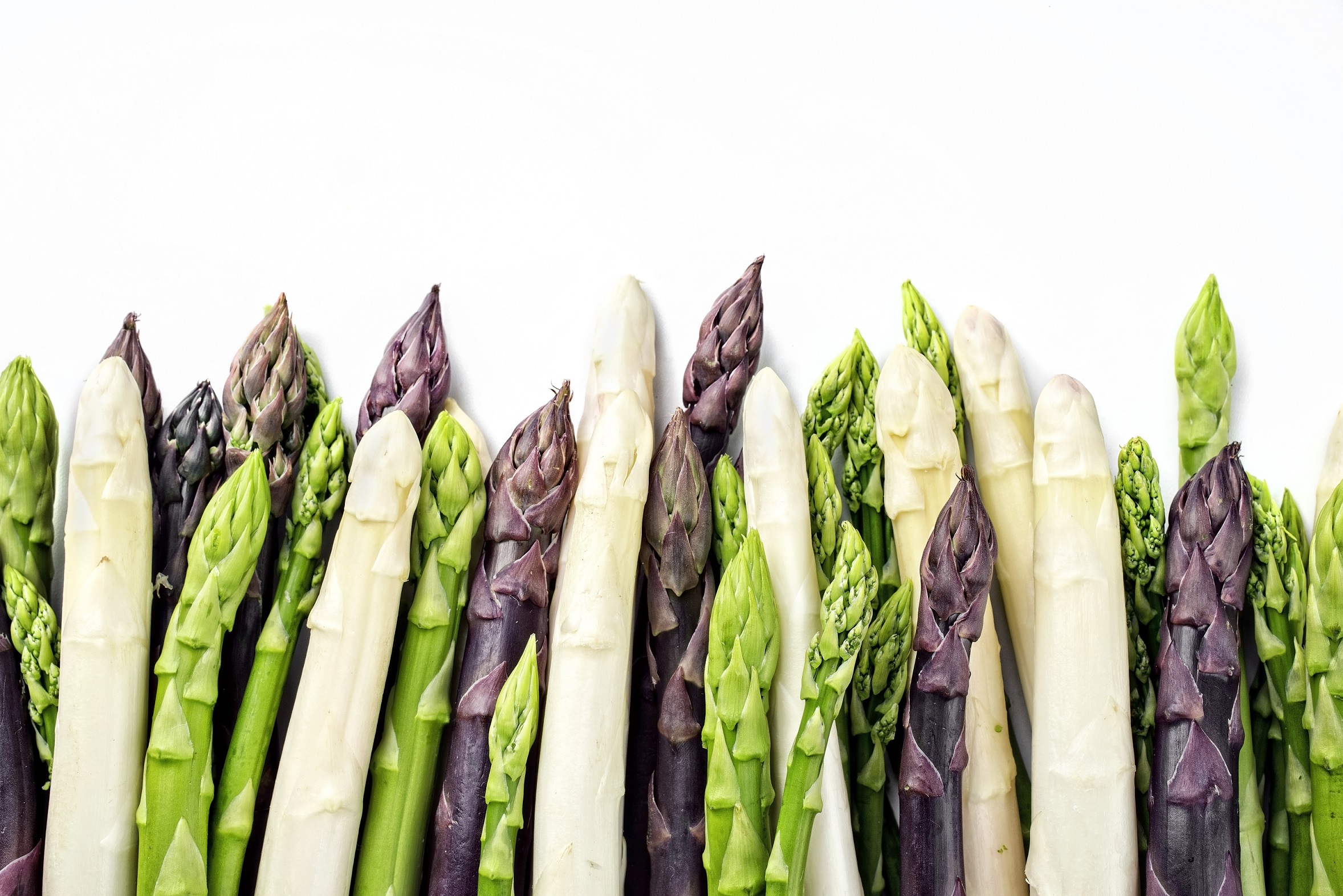 Spargel (Asparagus officinalis) Heilpraxis
