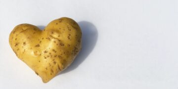 Die Kartoffel ist nicht nur eine der wichtigsten Nahrungspflanzen, sondern hat sich auch als Heilpflanze und Hausmittel bewährt. (Bild: Владимир Феофанов/stock.adobe.com)
