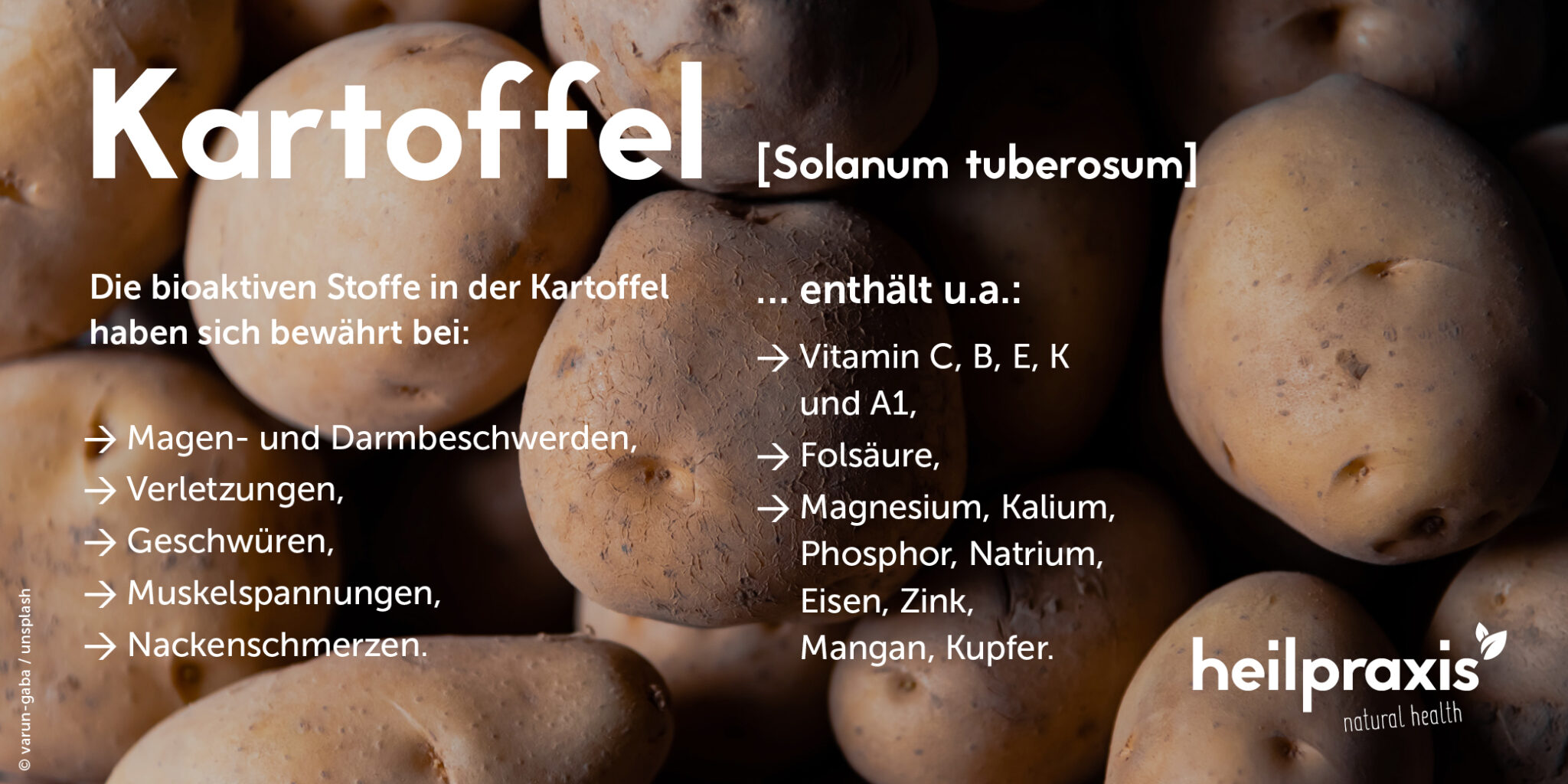 Kartoffel (Solanum tuberosum) als Heilpflanze Heilpraxis Kartoffel (Solanum tuberosum) als Heilpflanze Heilpraxis