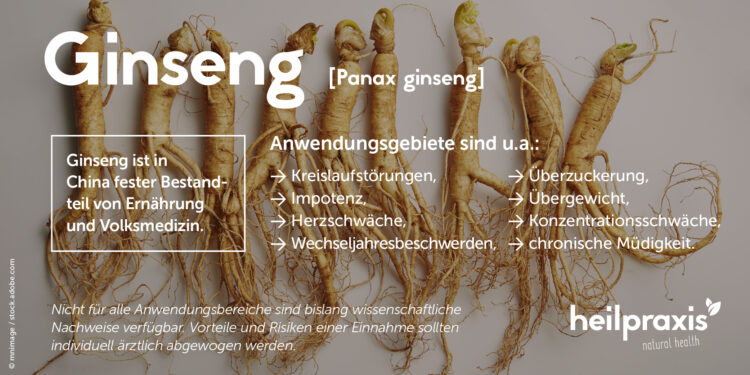 Übersicht über die Hauptanwendungsgebiete von Ginseng