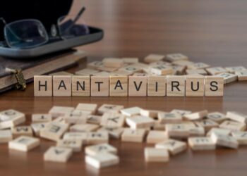 Das Wort Hantavirus aus Holzklötzen zusammengesetzt vor einer Brille auf einem Tisch