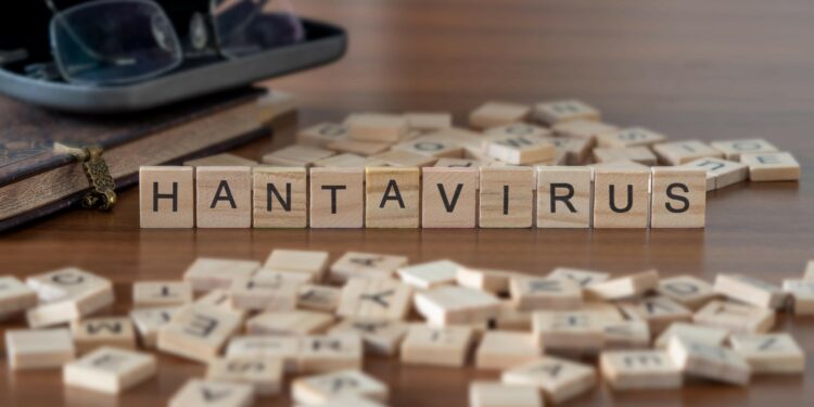 Das Wort Hantavirus aus Holzklötzen zusammengesetzt vor einer Brille auf einem Tisch