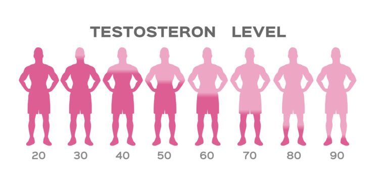 Schaubild: Testosteronspiegel in Abhängigkeit vom Alter.
