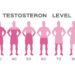 Schaubild: Testosteronspiegel in Abhängigkeit vom Alter.