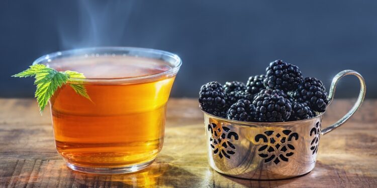 Teeglas mit Brombeerblättertee und Brombeerfrüchte