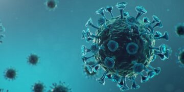 Wie wirkt sich eine Infektion mit SARS-CoV-2 auf die Hoden aus? (Bild: rost9/stock.adobe.com)
