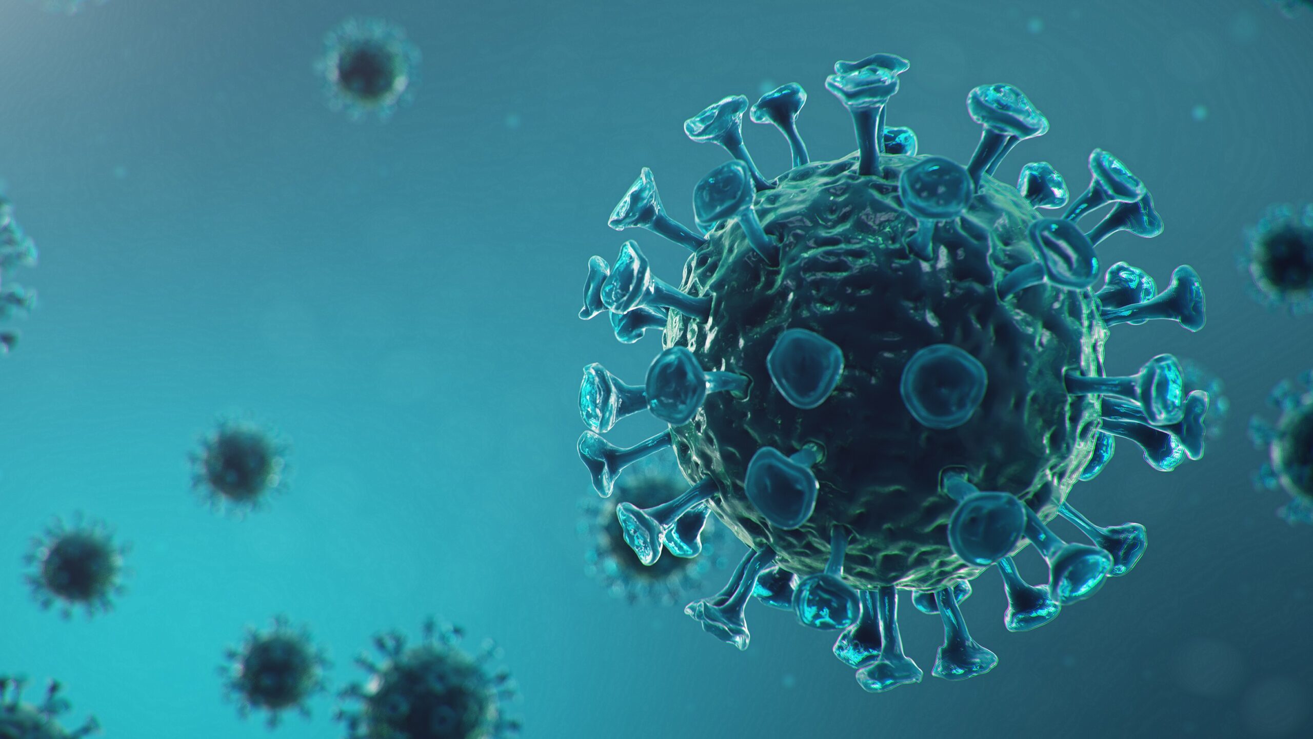 Drie potentiële doelwitten voor antivirale therapie ontdekt – Heilpraxis