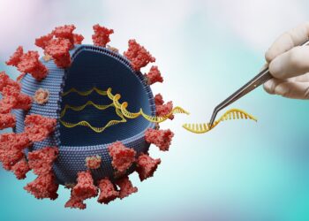 Grafische Darstellung eines Coronavirus im Querschnitt.