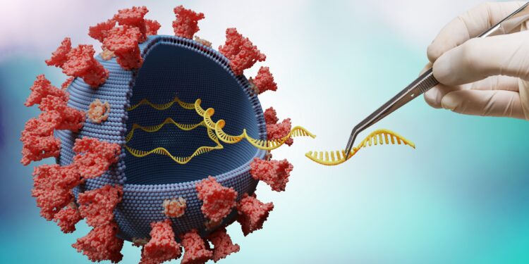 Grafische Darstellung eines Coronavirus im Querschnitt.