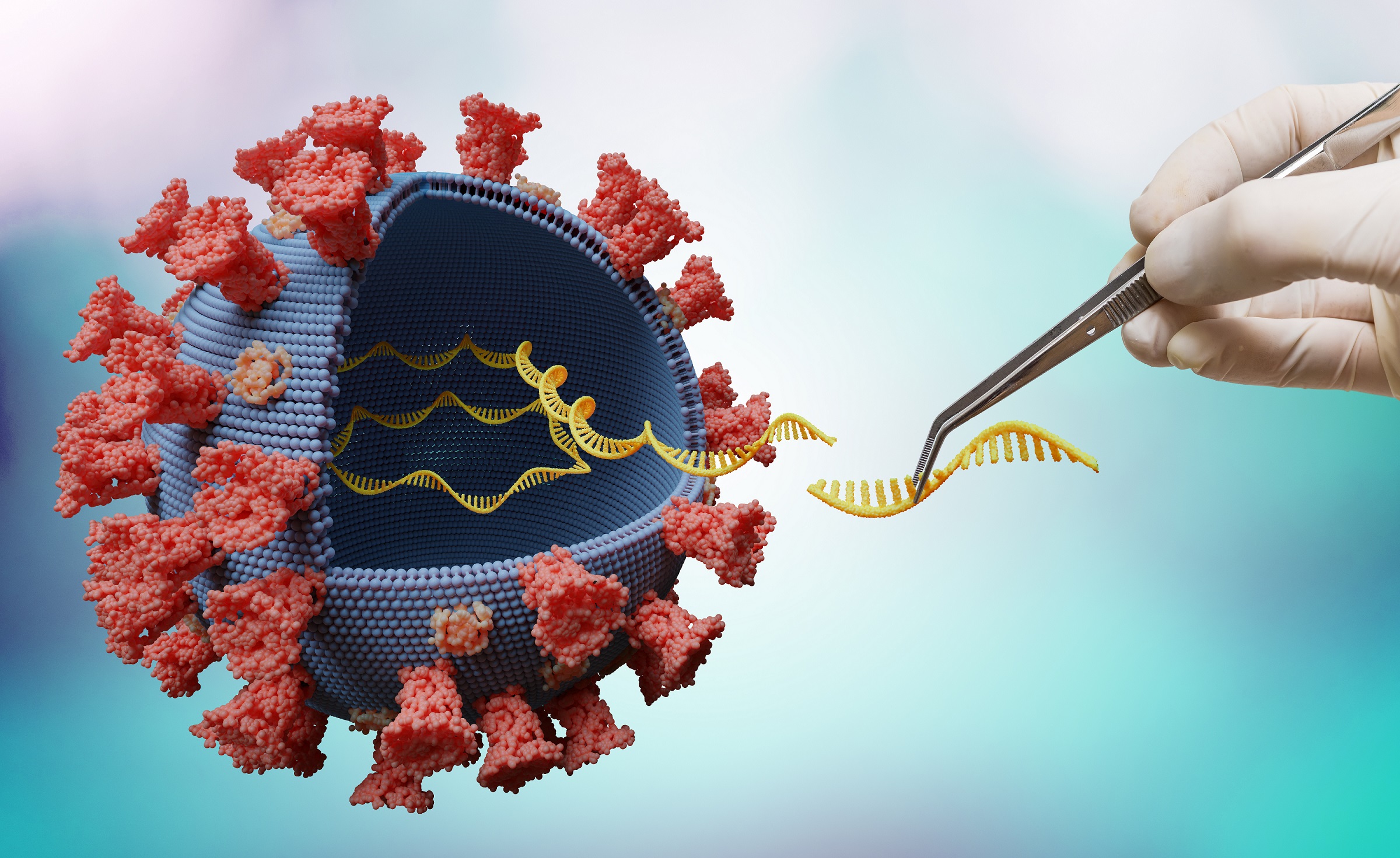 Un vaccino universale contro i coronavirus per proteggersi da future epidemie: la pratica della guarigione