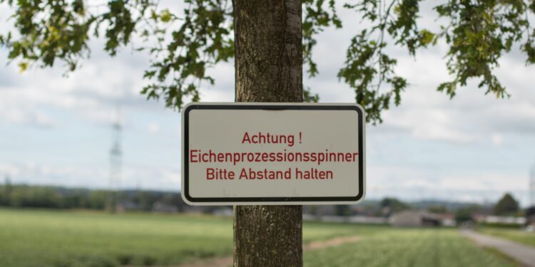 Schild mit Warnung vor Eichenprozessionsspinnern