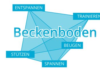 Schriftzug "Beckenboden" umringt von zugehörigen Begriffen.