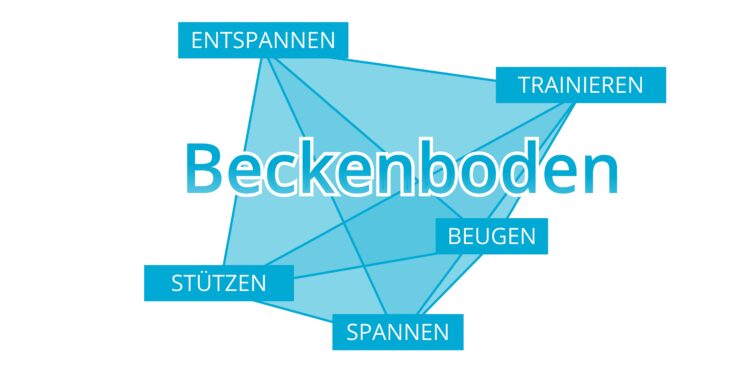 Schriftzug "Beckenboden" umringt von zugehörigen Begriffen.