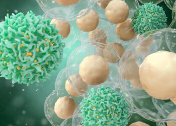 Grafische Darstellung von Krebszellen und T-Immunzellen.