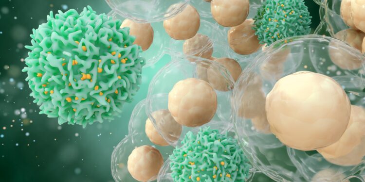 Grafische Darstellung von Krebszellen und T-Immunzellen.