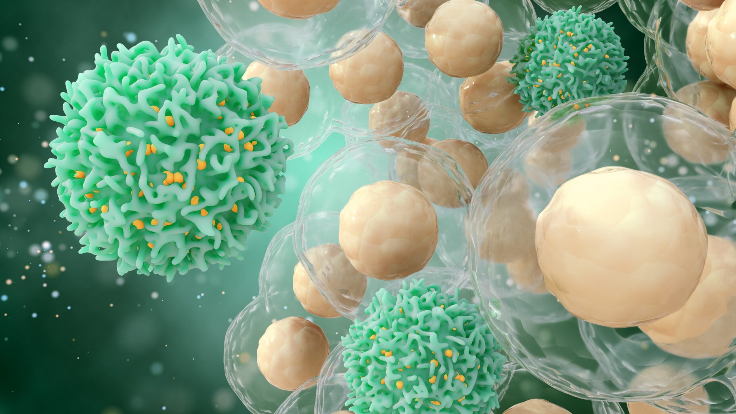 Krebs: Neue Immuntherapie gegen multiples Myelom – Heilpraxis