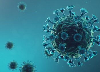 Eine Mutation des COVID-19 verursachenden Virus hat dazu geführt, dass dieses einen neuen Weg zur Infektion von Zellen nutzen kann. (Bild: rost9/stock.adobe.com)