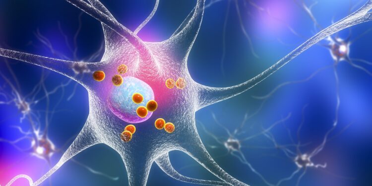 Imaging del neurone mediante precipitazione proteica.