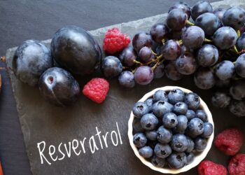 Schriftzug Resveratrol mit Weintrauben, Pflaumen, Blaubeeen, Himbeeren und einem Löffel Kakaopulver.