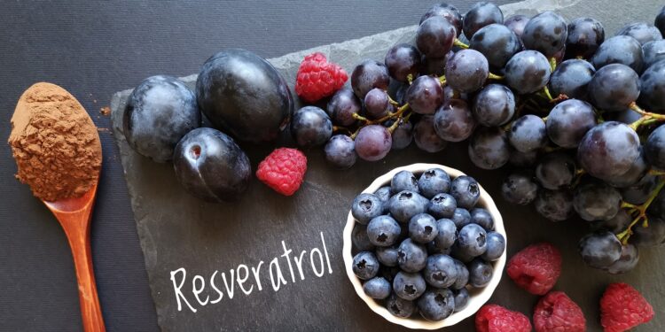 Schriftzug Resveratrol mit Weintrauben, Pflaumen, Blaubeeen, Himbeeren und einem Löffel Kakaopulver.