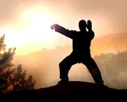 Ein Mann führt Tai Chi-Übungen in der Natur bei Sonnenaufgang durch.