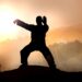 Ein Mann führt Tai Chi-Übungen in der Natur bei Sonnenaufgang durch.