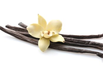 Vanilleblüte und Vanilleschoten auf weißem Hintergrund