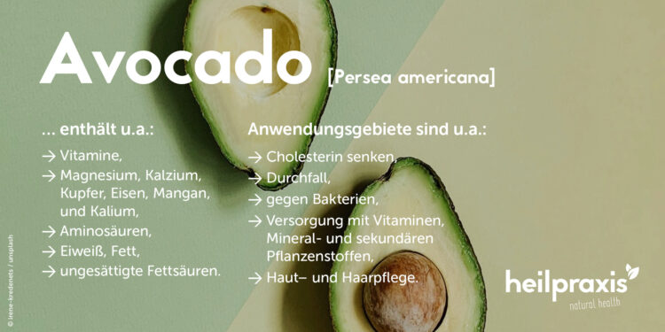 Infobild zur Avocado