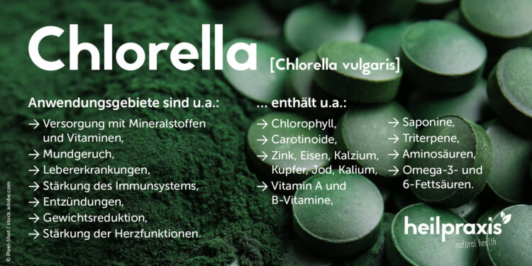 Chlorella in Pulfer- und Tablettenform