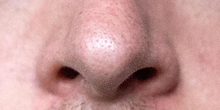 Eine männliche Nase in Nahaufnahme.