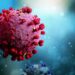 3D-Illustration des Coronavirus SARS-CoV-2